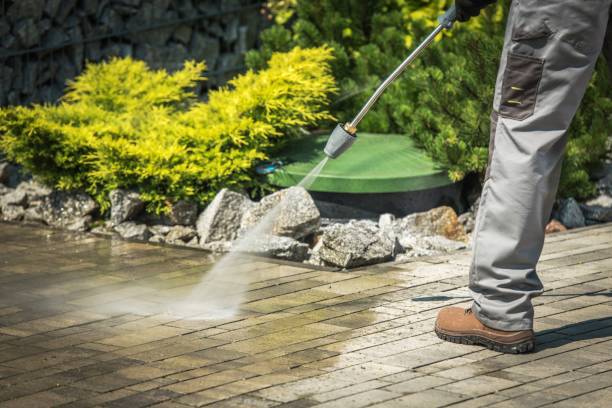 Best Patio and Deck Pressure Washing  in Woodbury, MN