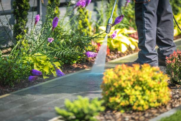 Best Soft Washing  in Woodbury, MN